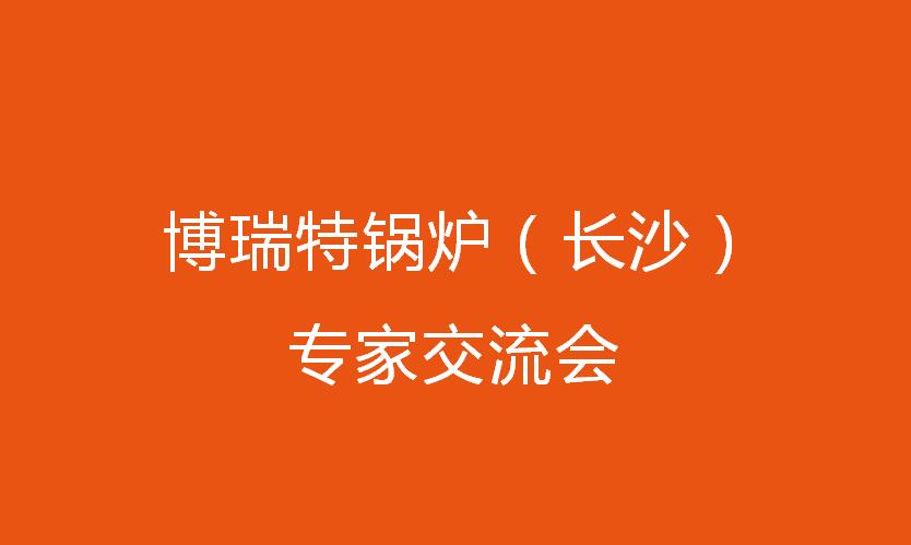 博瑞特鍋爐（長(zhǎng)沙）專家交流會(huì)圓滿落幕！